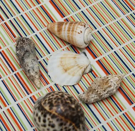 Appartamento Mykonos Marina *